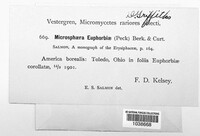 Image Associated With the Occurence